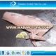 China Factory Supplier Various Types Of Tuna Fish Belly In China Supplier